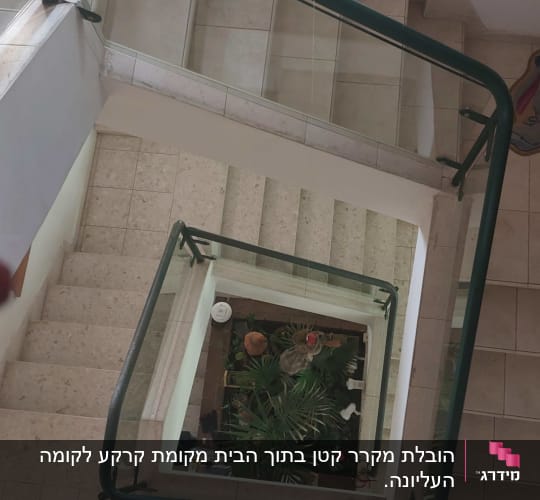 מדרגות עם מעקה זכוכית וצמחייה במרכז